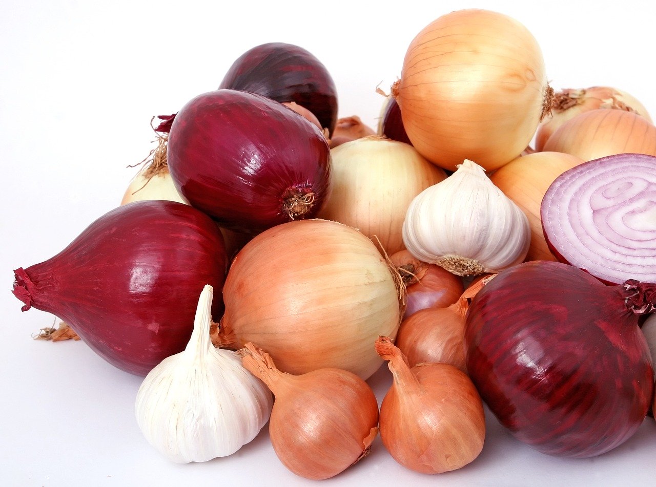 bulb, onions, diet